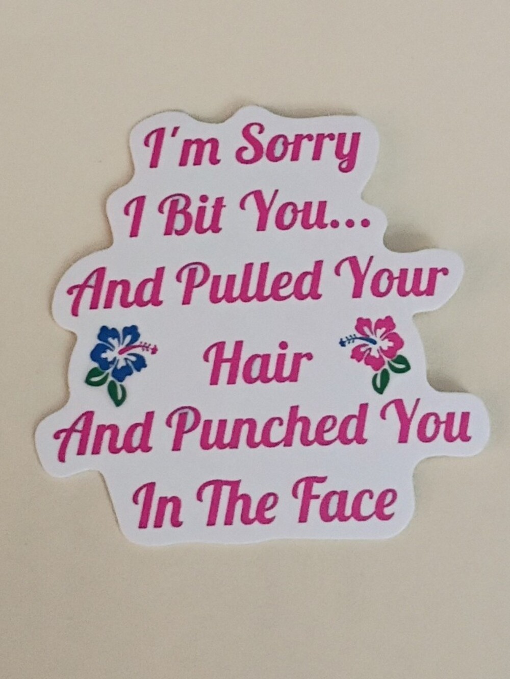 10/$10 Stickers - I'm Sorry I Bit You Pulled Your Hair Punched You In The Face 2